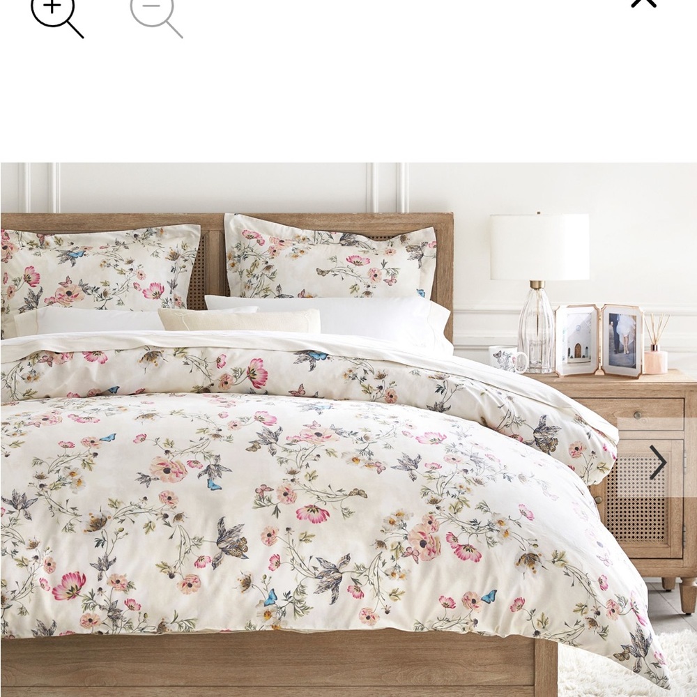 Pottery Barn Monique Lhuillie Tuileries duvet set